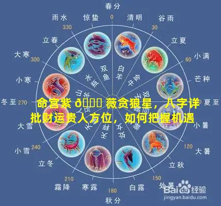 命宫紫 🐕 薇贪狼星，八字详批财运贵人方位，如何把握机遇